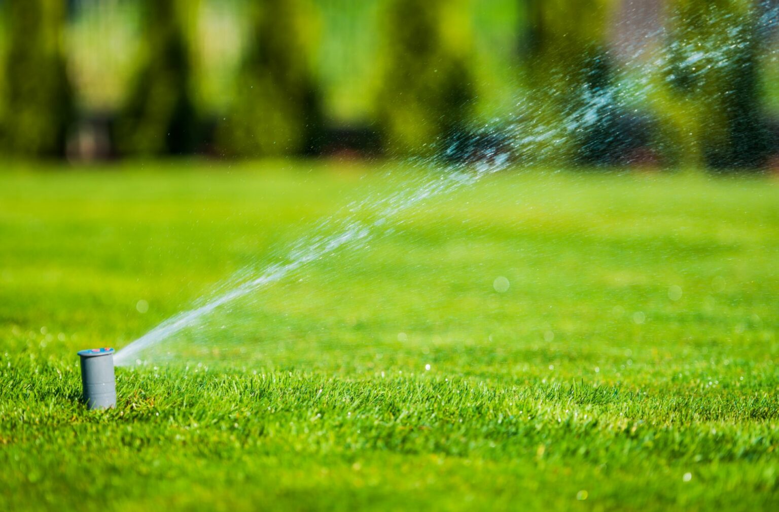 Irrigation Splawn Landscape & Design Huntsville, AL
